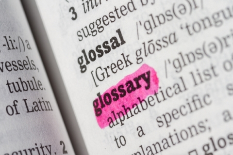 Glossary definition